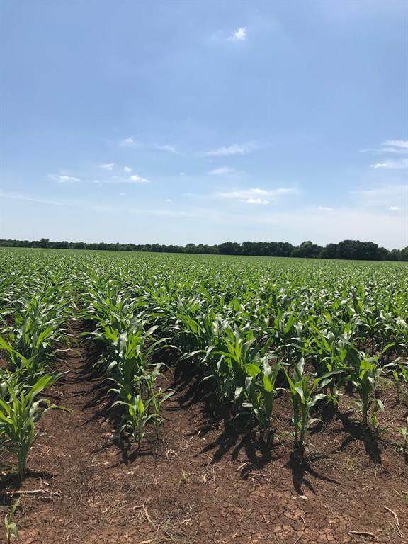 2844 Fm 331 - Photo 1