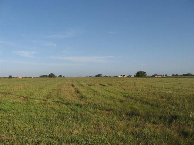 572 Longhorn Trail - Photo 1