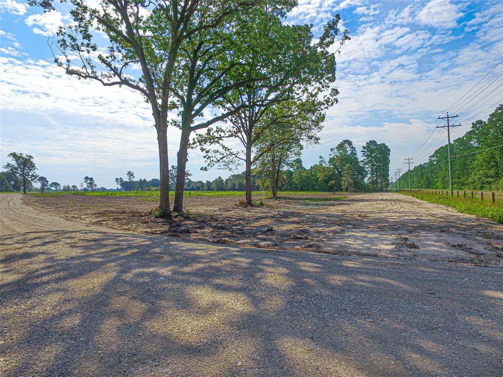 0014 Brushy Creek - Photo 1