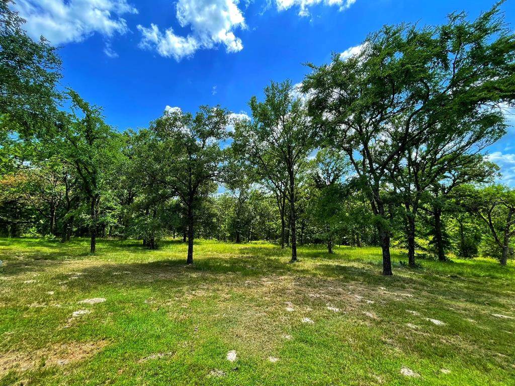 10141 Pr 4120 - Photo 1