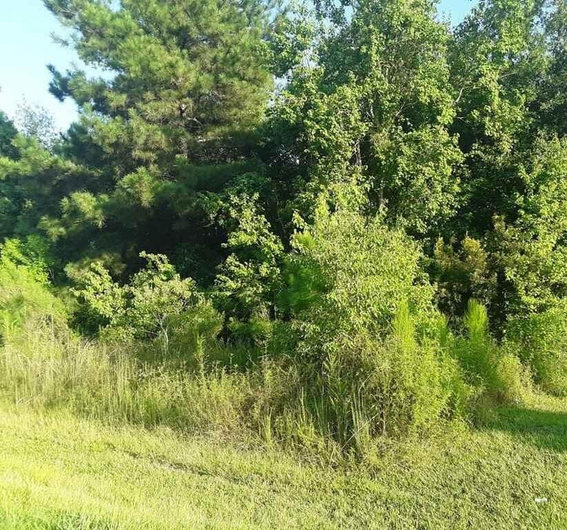 394 County Road 3414 - Photo 1
