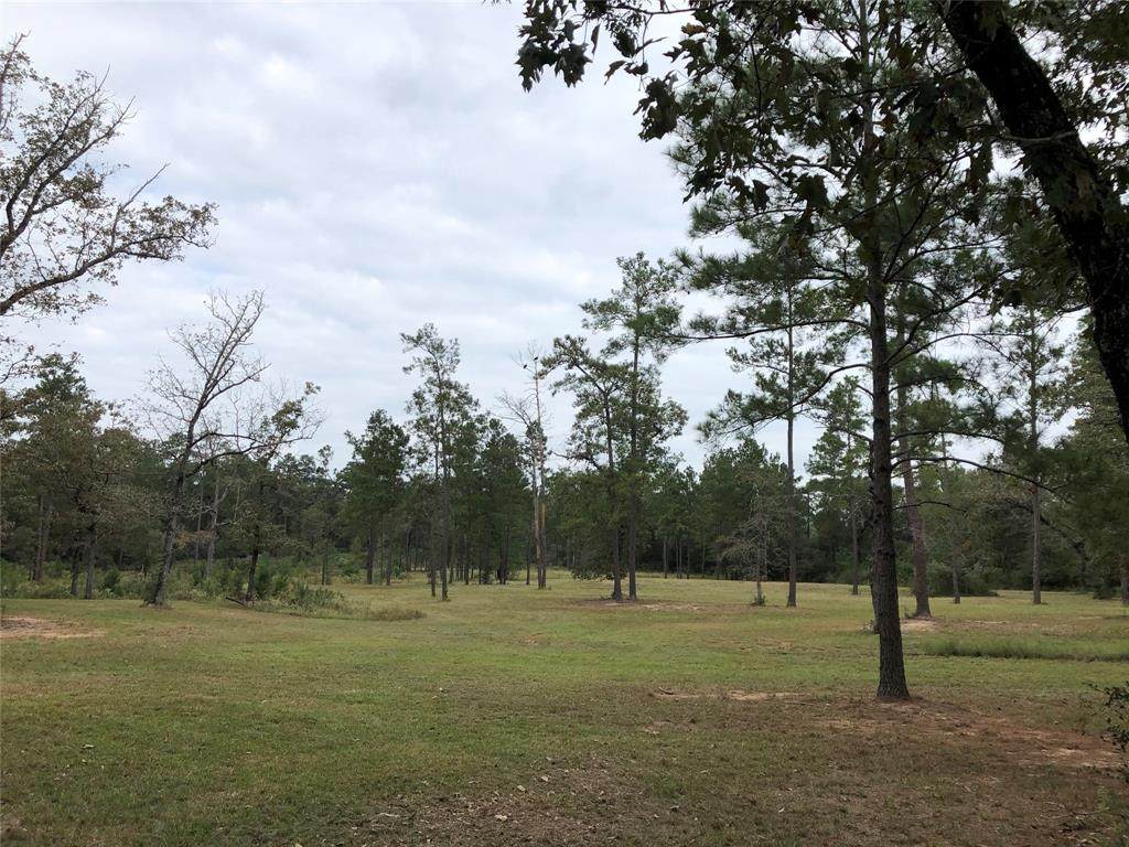 37072 Red Rock - Photo 1