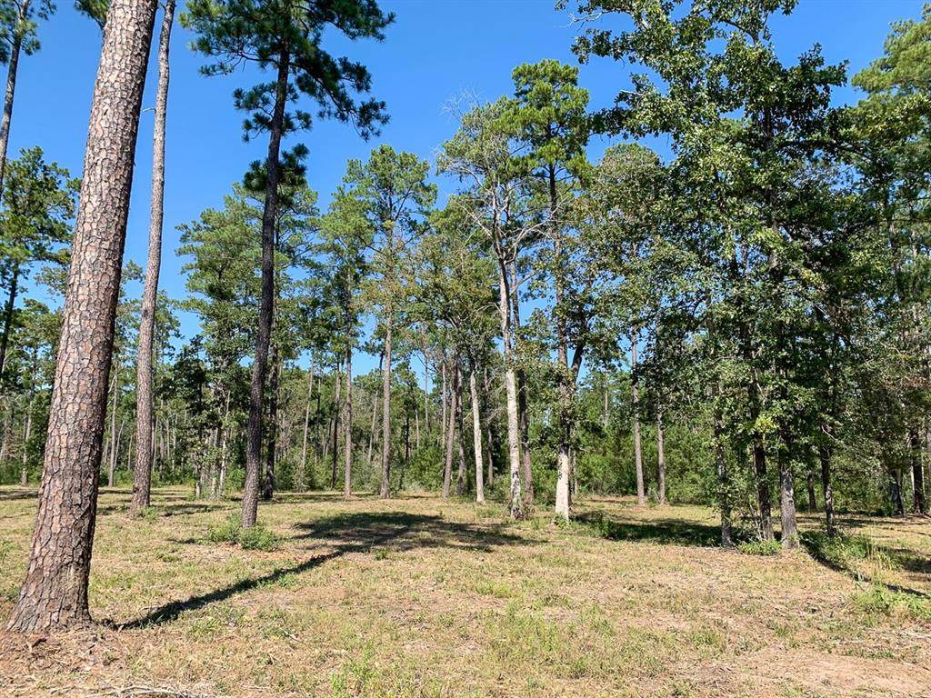 0 Grimes Cemetery Road - Photo 1