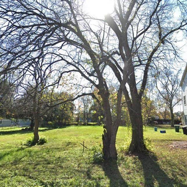 5034 Mallow Street - Photo 1