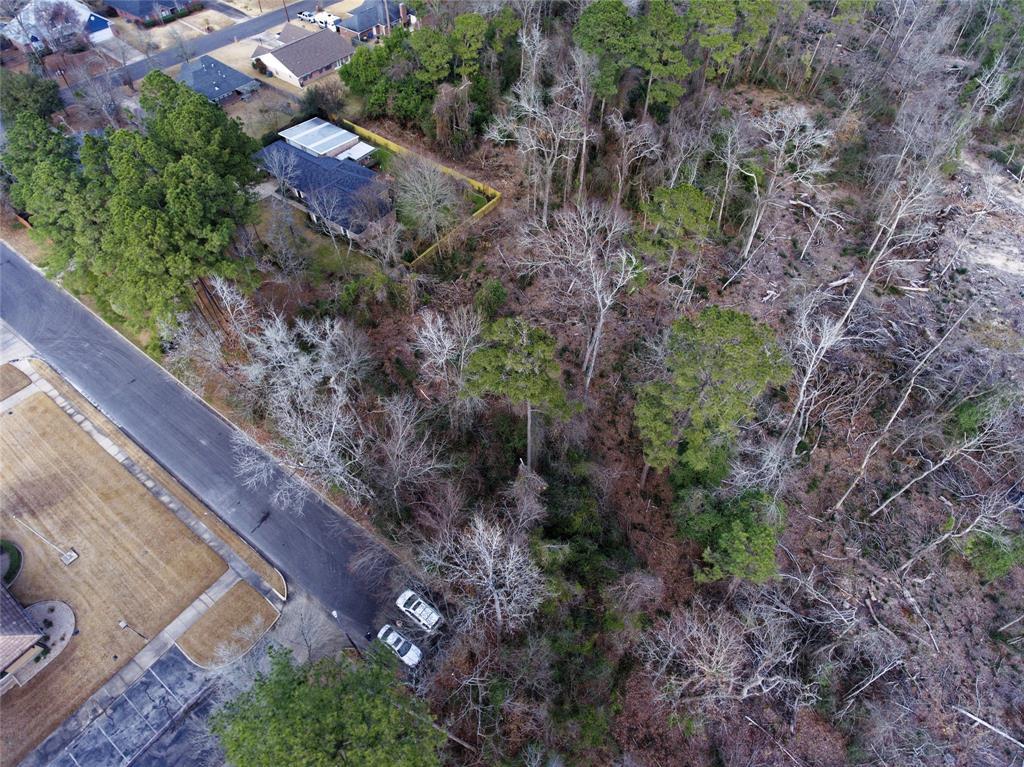 Lot 2 Bending Oak Drive - Photo 1