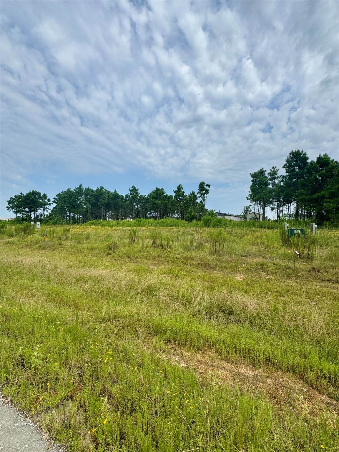 8060 Road 5866 - Photo 1