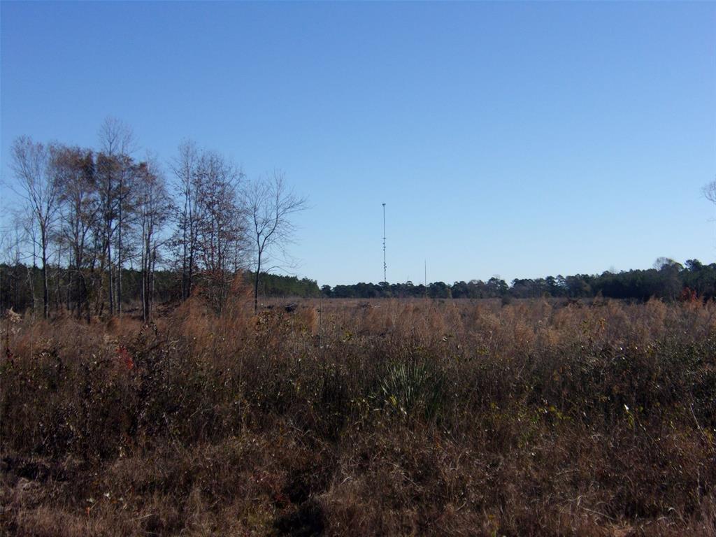 TBD Us Hwy 190 E - Photo 1