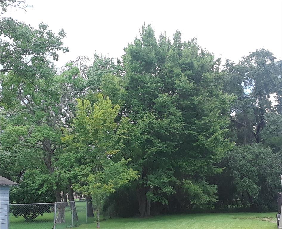 122 Pecan Drive - Photo 1