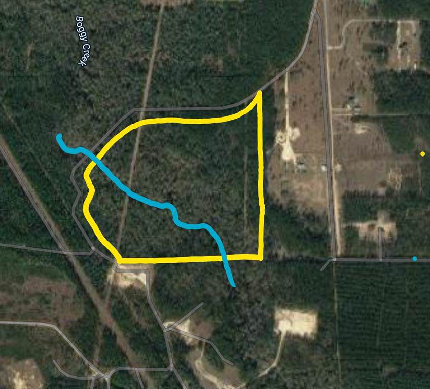 000 Whispering Pines Drive - Photo 1