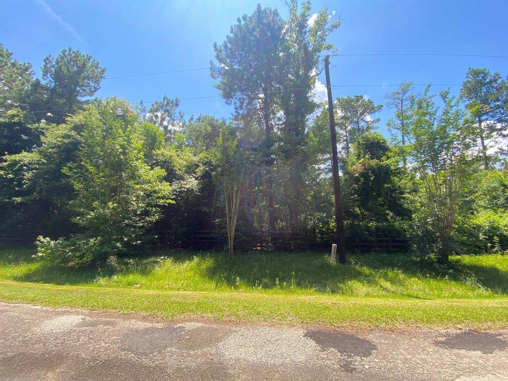 TBD County Road 2220 - Photo 1