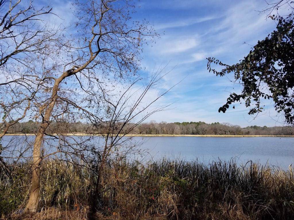 4497 Cascades Shoreline Dr - Photo 1