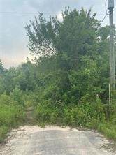 19050 Fm 1314 Road - Photo 1