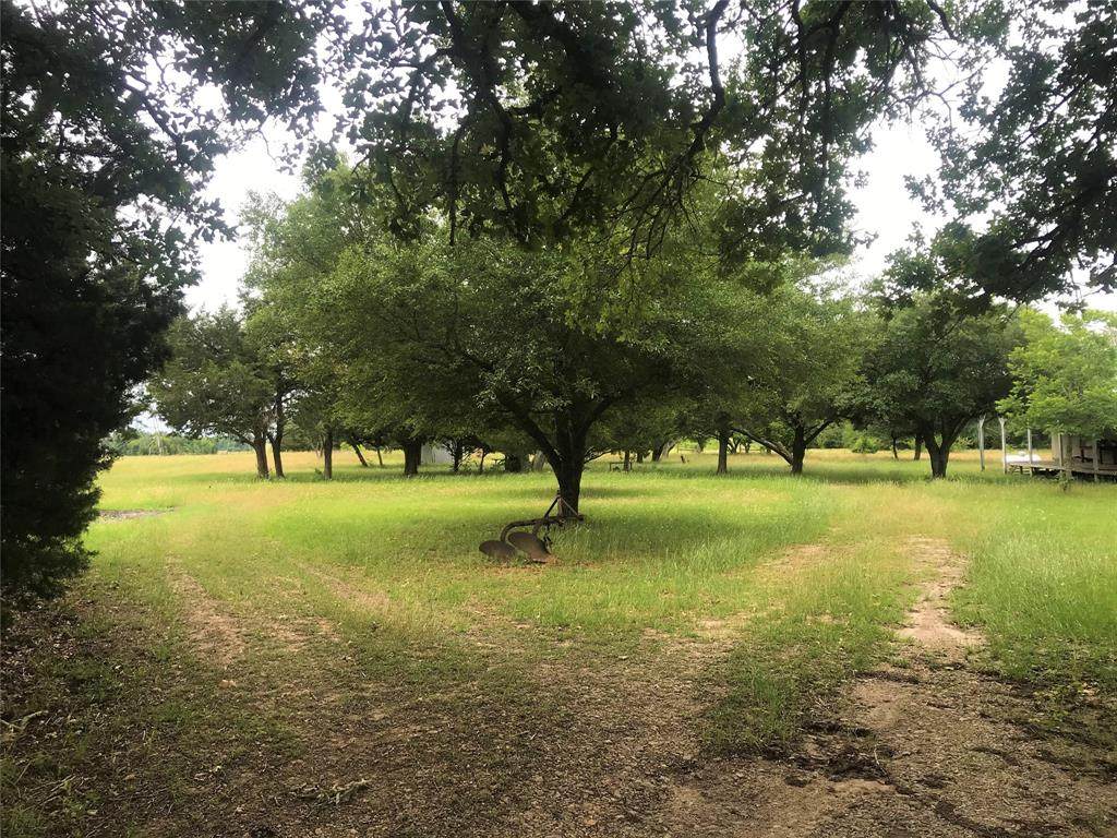 7791 Fm 1372 Road - Photo 1