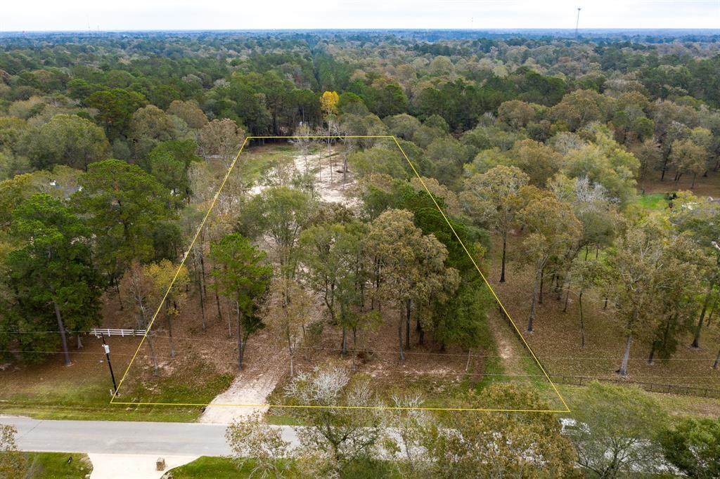 23905 Wild Forest Drive - Photo 1