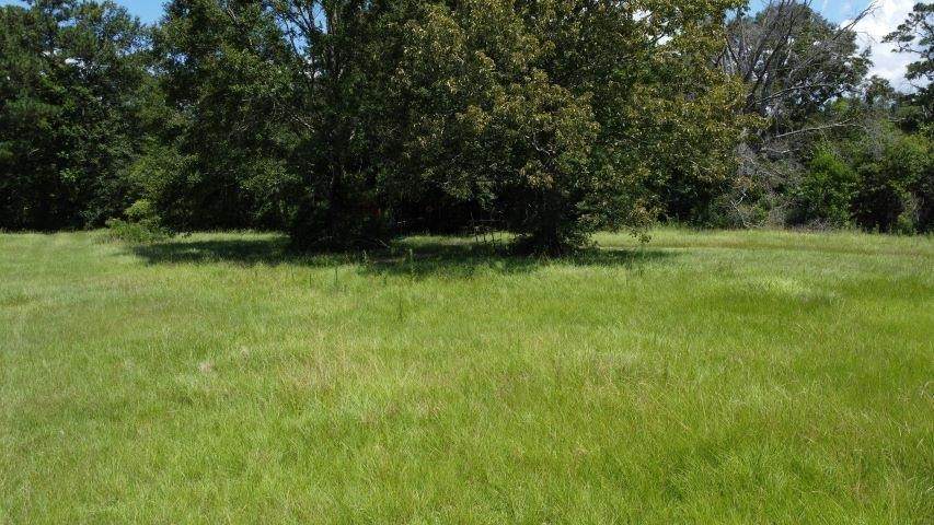 8370 Queen Lane - Photo 1