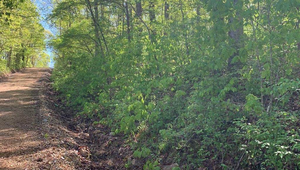 Lot 2 Wagon Trail - Photo 1