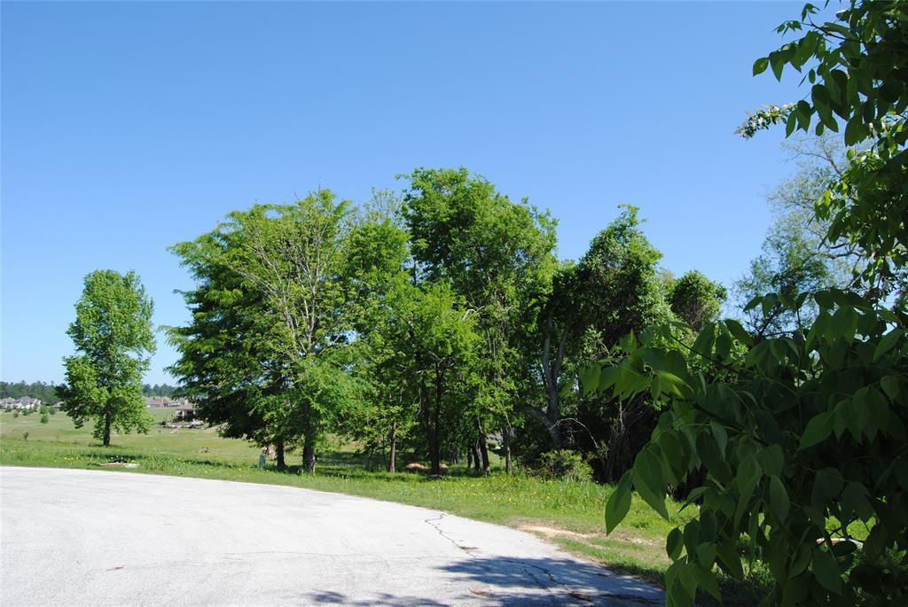165 Grandview Boulevard - Photo 1