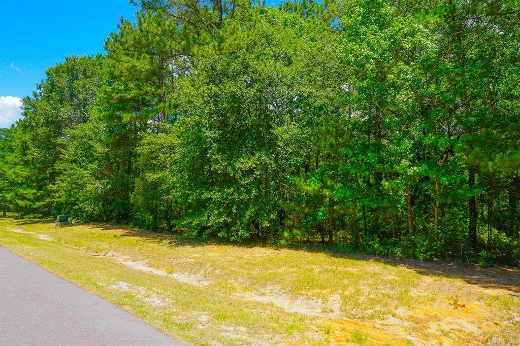 15 Forest Drive - Photo 1