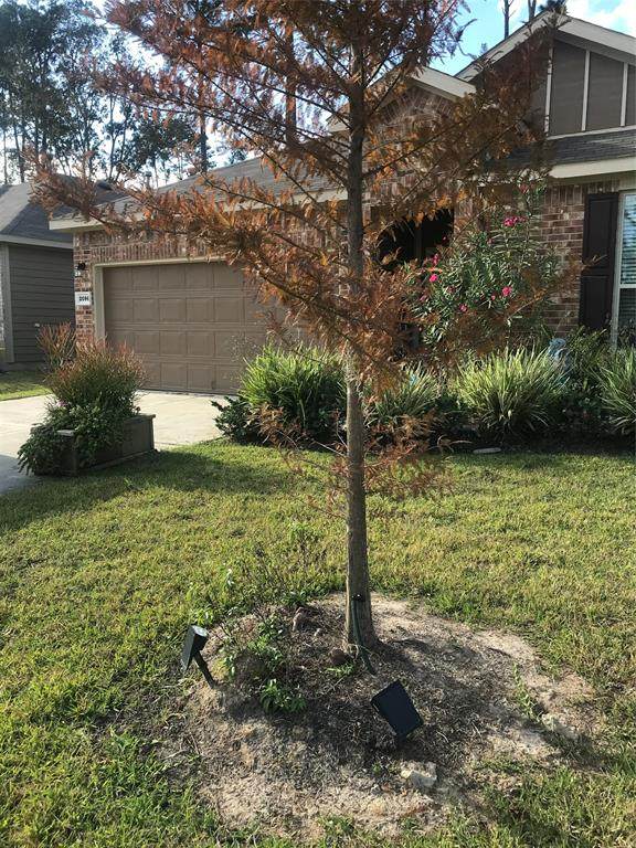 2096 Lost Timbers Drive - Photo 1