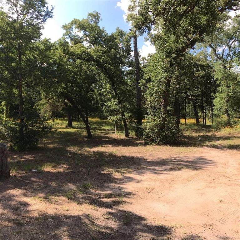 313 &315 Oak Forest Road - Photo 1