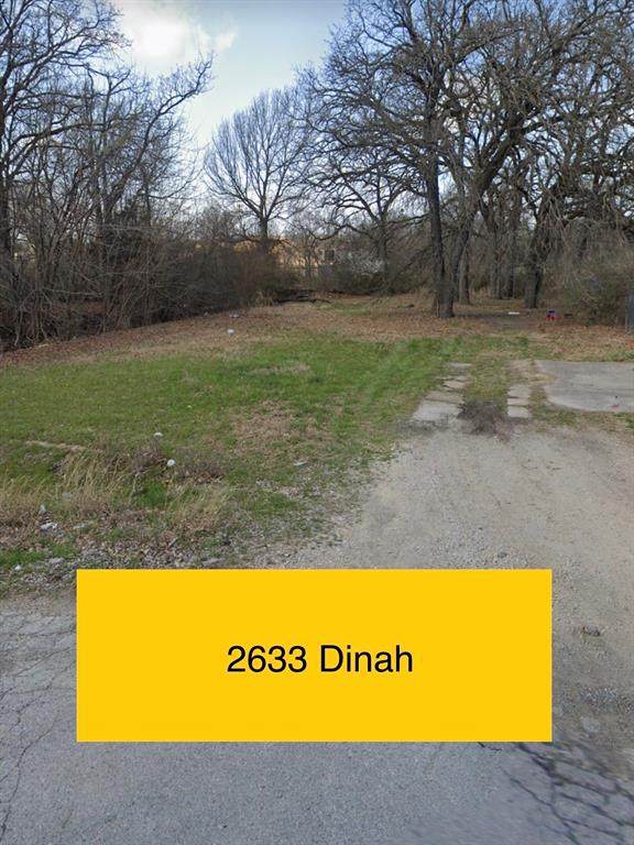 2633 Dinah Drive - Photo 1