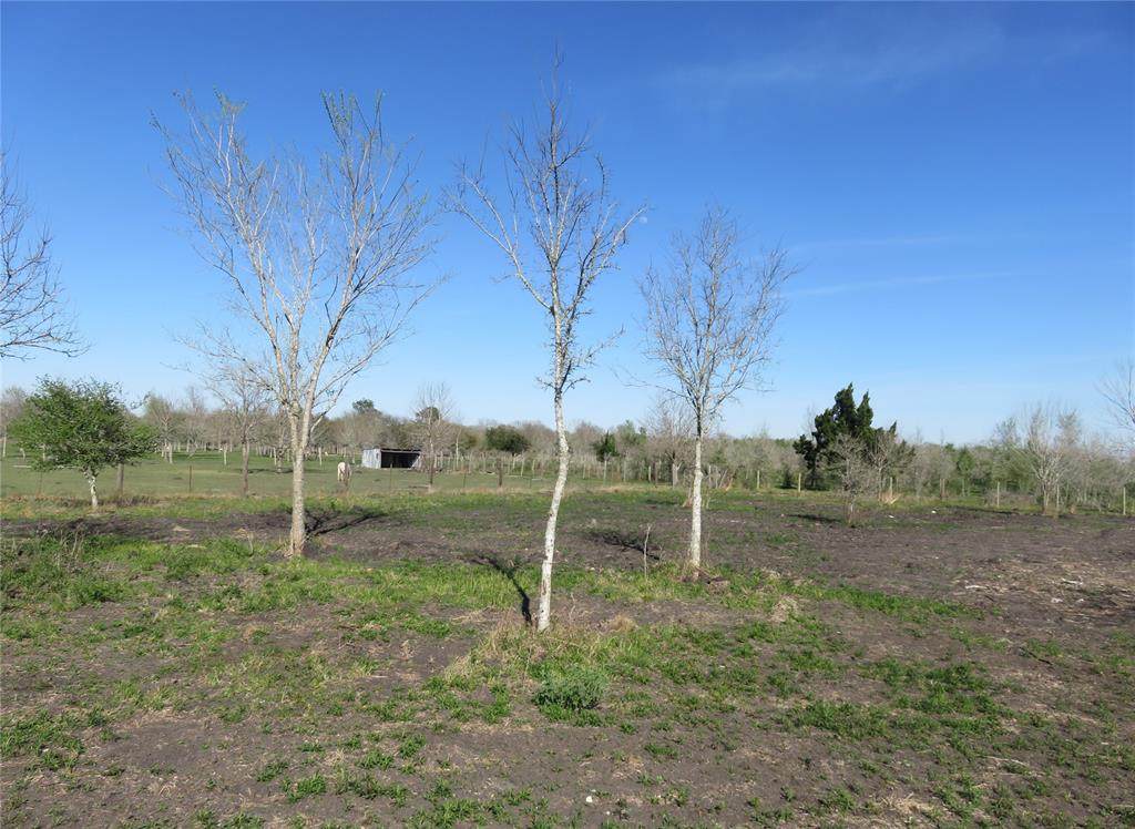 7006 Gavlik Drive - Photo 1