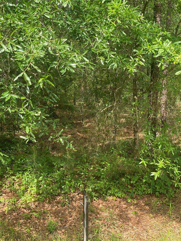 TBD Knottypine - Photo 1
