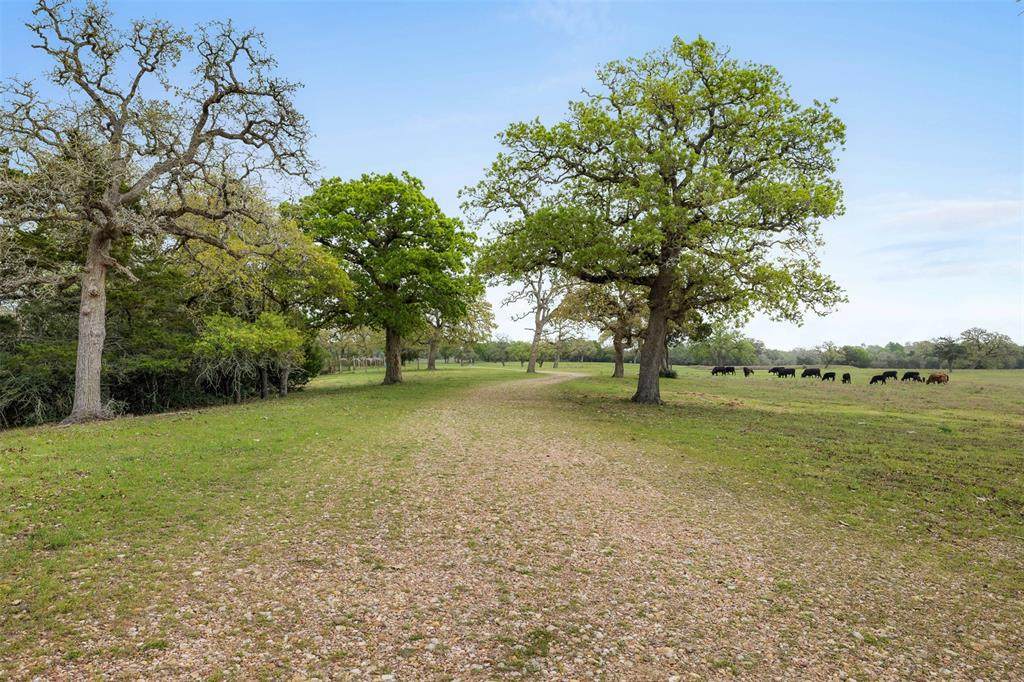 E. Tobias At Cordes Road - Photo 1