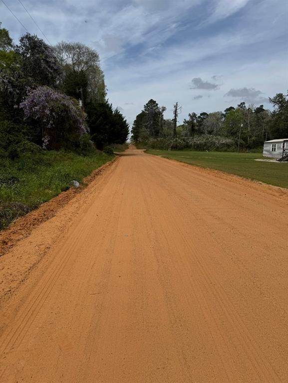 1162 The Ole Don Road - Photo 1