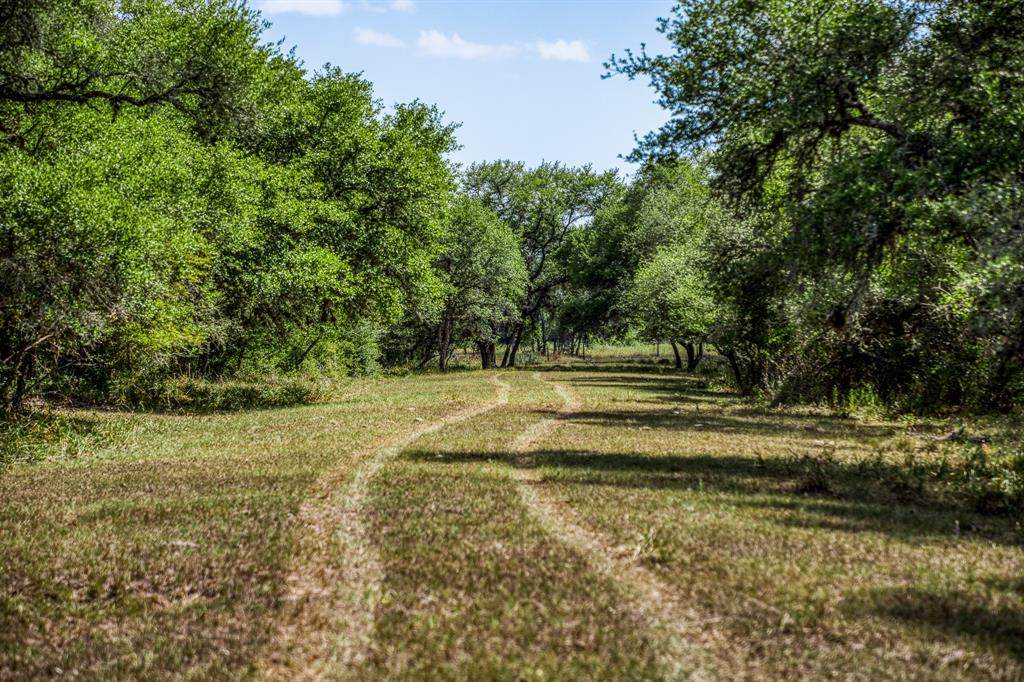 00 County Road 15A - Photo 1