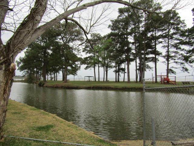 374 Rain Forest Road - Photo 1