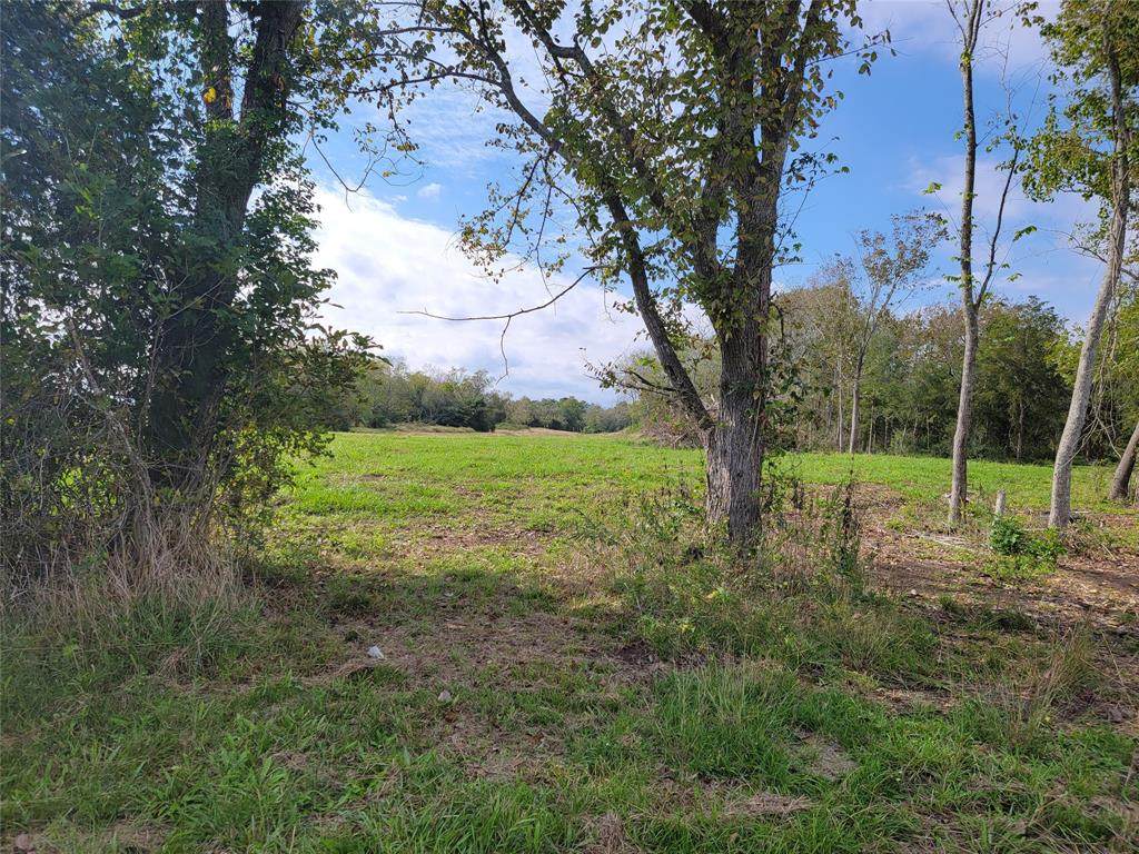 0 County Road 203 - Photo 1