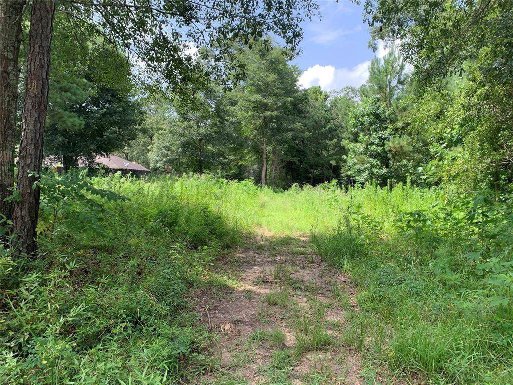 0000 Cedar Lane - Photo 1