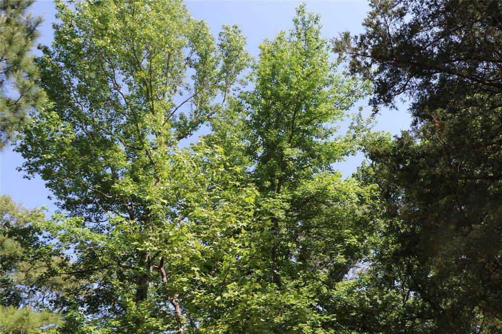 0 Timber Ridge - Photo 1