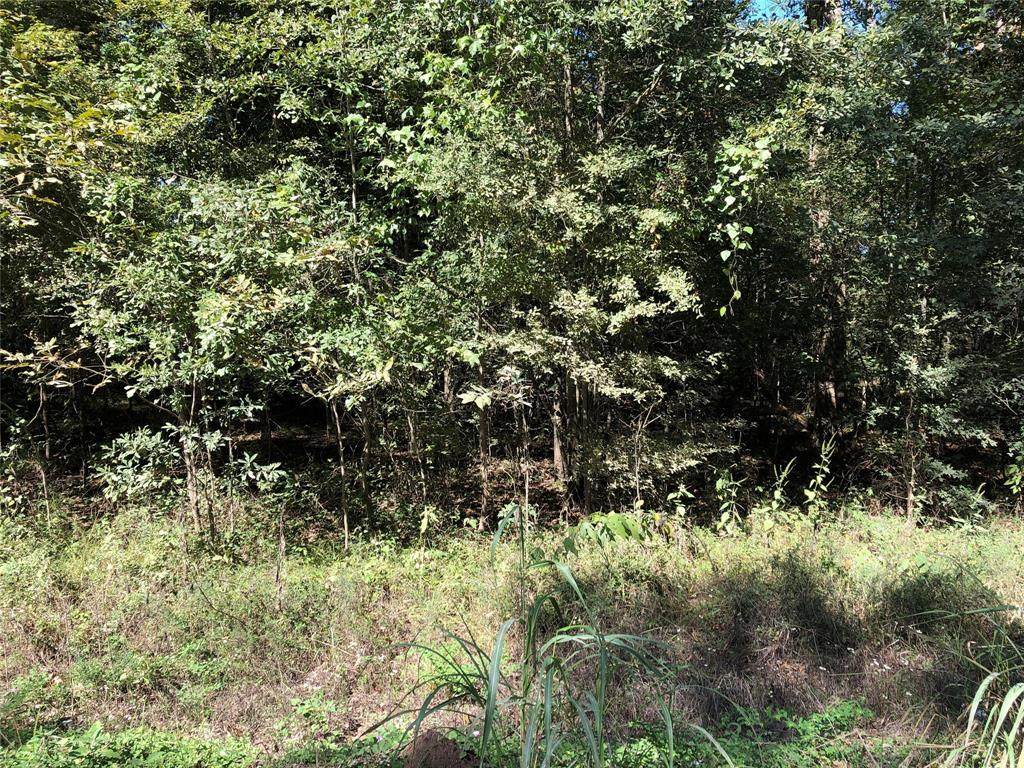 Lot639 Martinez Street - Photo 1