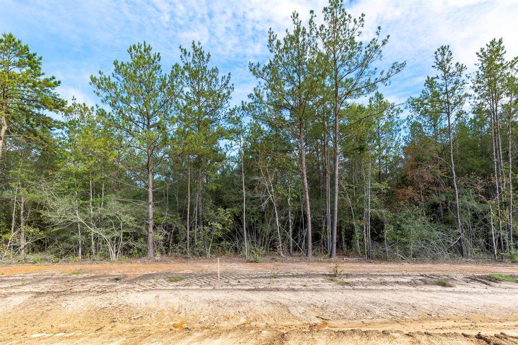 7436 High Meadow Ridge Drive - Photo 1