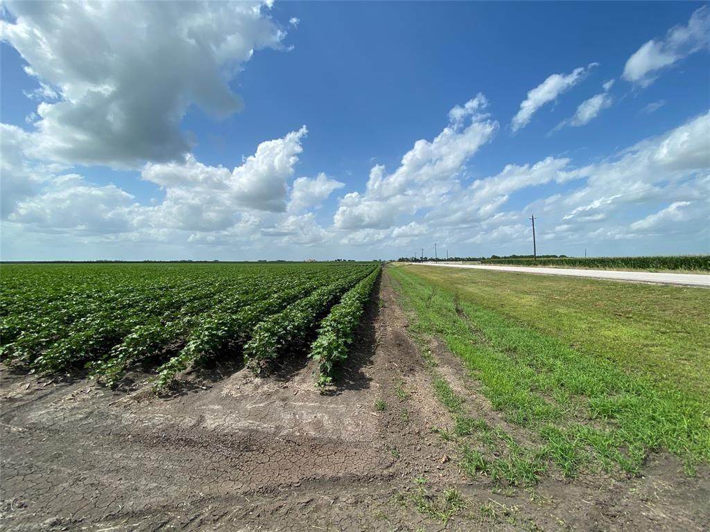 3.8 acres Fm 1952 - Photo 1