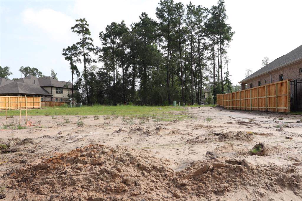 4325 Victoria Pine Drive - Photo 1