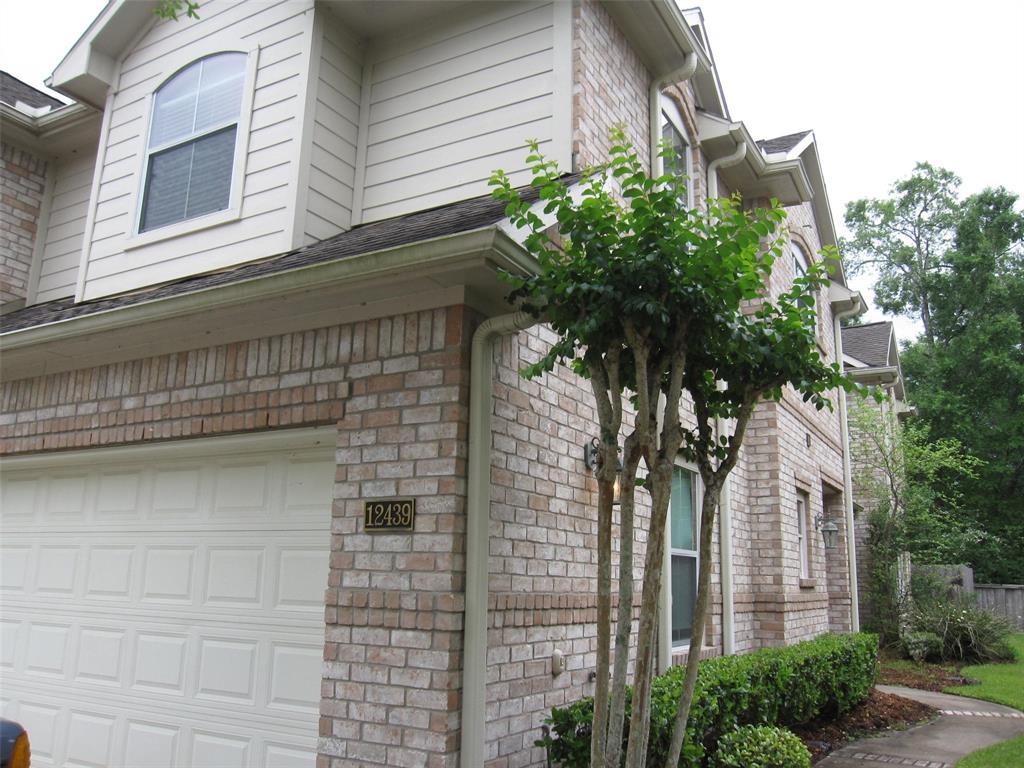 12439 Golden Thistle - Photo 1