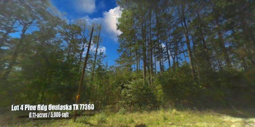 Lot 4 Pine Ridge - Photo 1