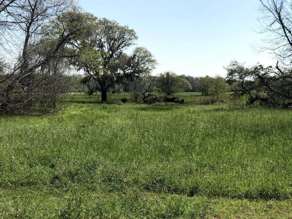 543 Wagon Wheel Trail - Photo 1 543 Wagon Wheel Trail - Photo 1