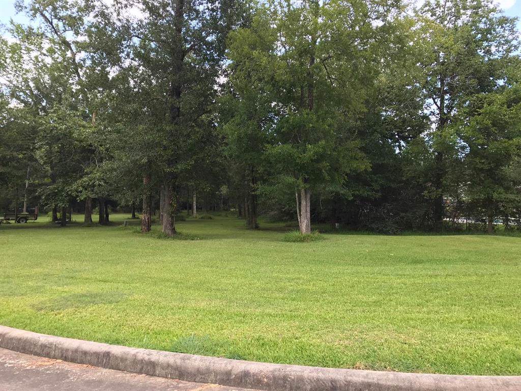 6308 Nowlin Drive - Photo 1