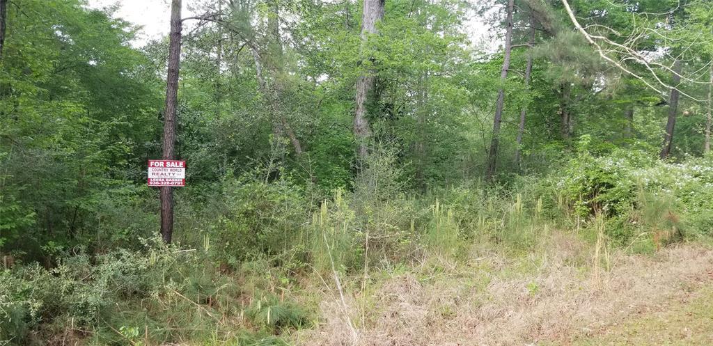 TBD Crooked Creek Road - Photo 1