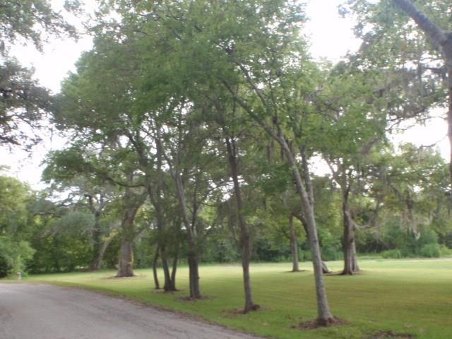 28A-30A Cr 297 - Photo 1