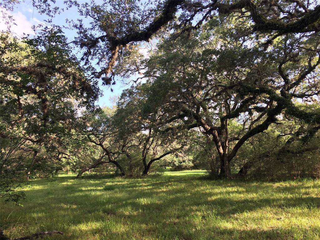 133 Center Tree Drive - Photo 1