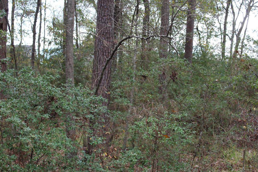 2723 Deep Anchor Way - Photo 1