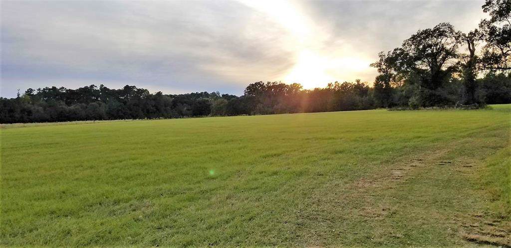 2306 Fm 1486 Road - Photo 1