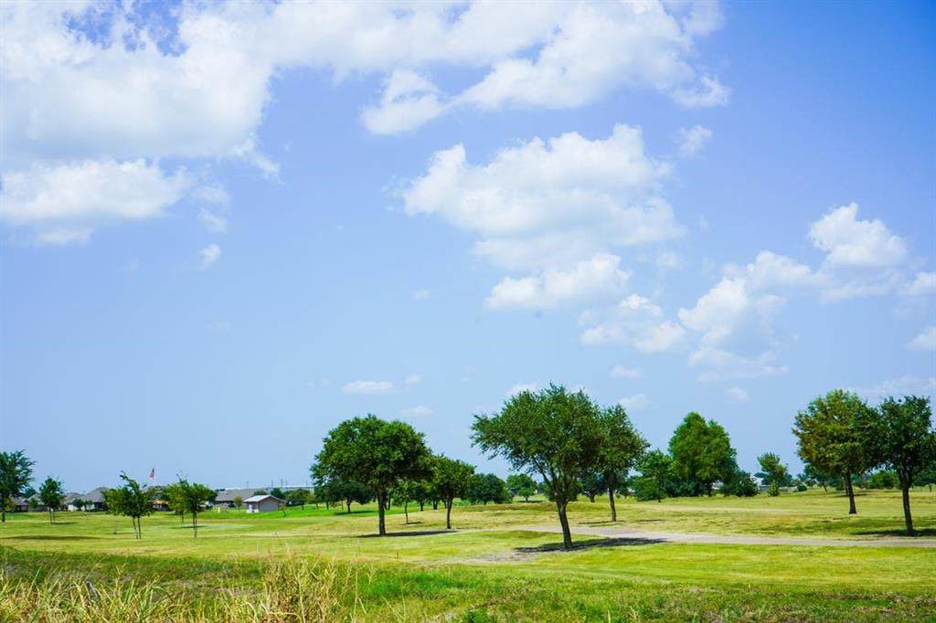 Lot 49 Back Nine Lane - Photo 1