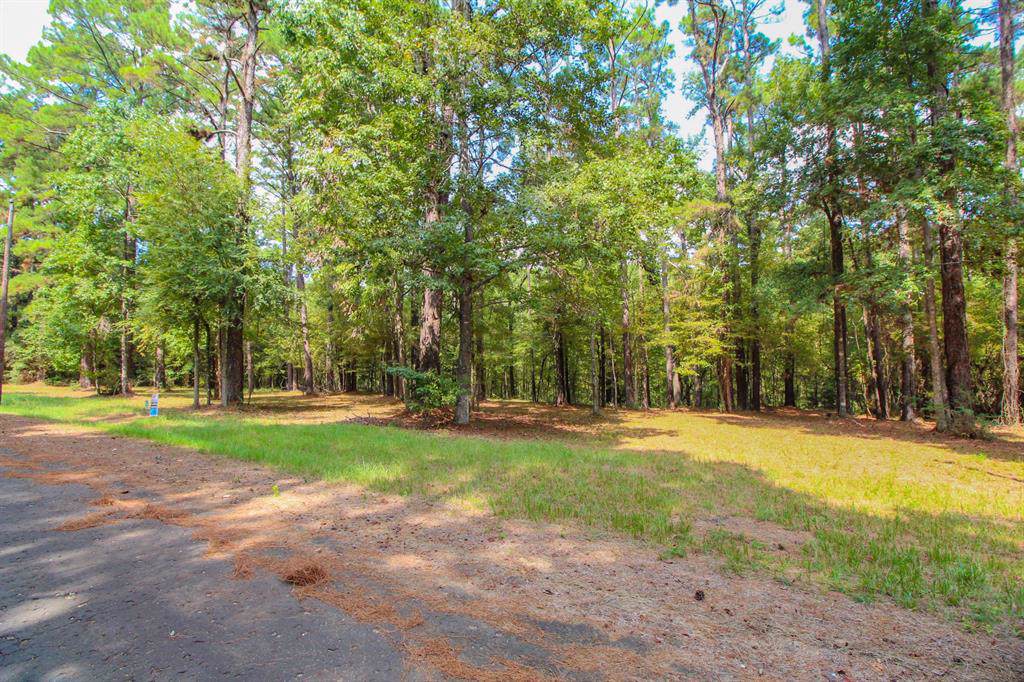 177 Grand Pine Loop - Photo 1