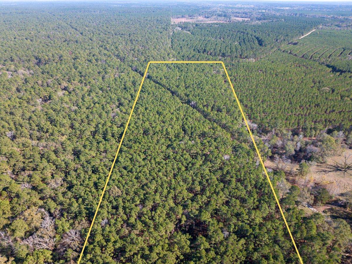 000 Forest Service Road 527 - Photo 1